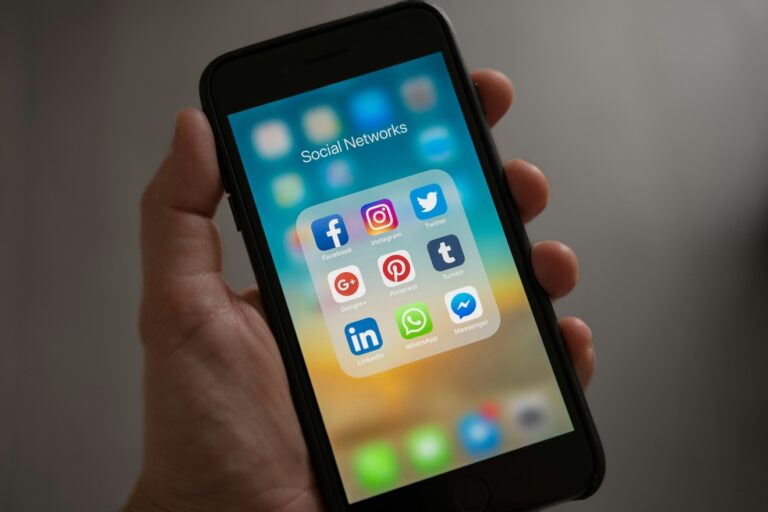 social media algorithm